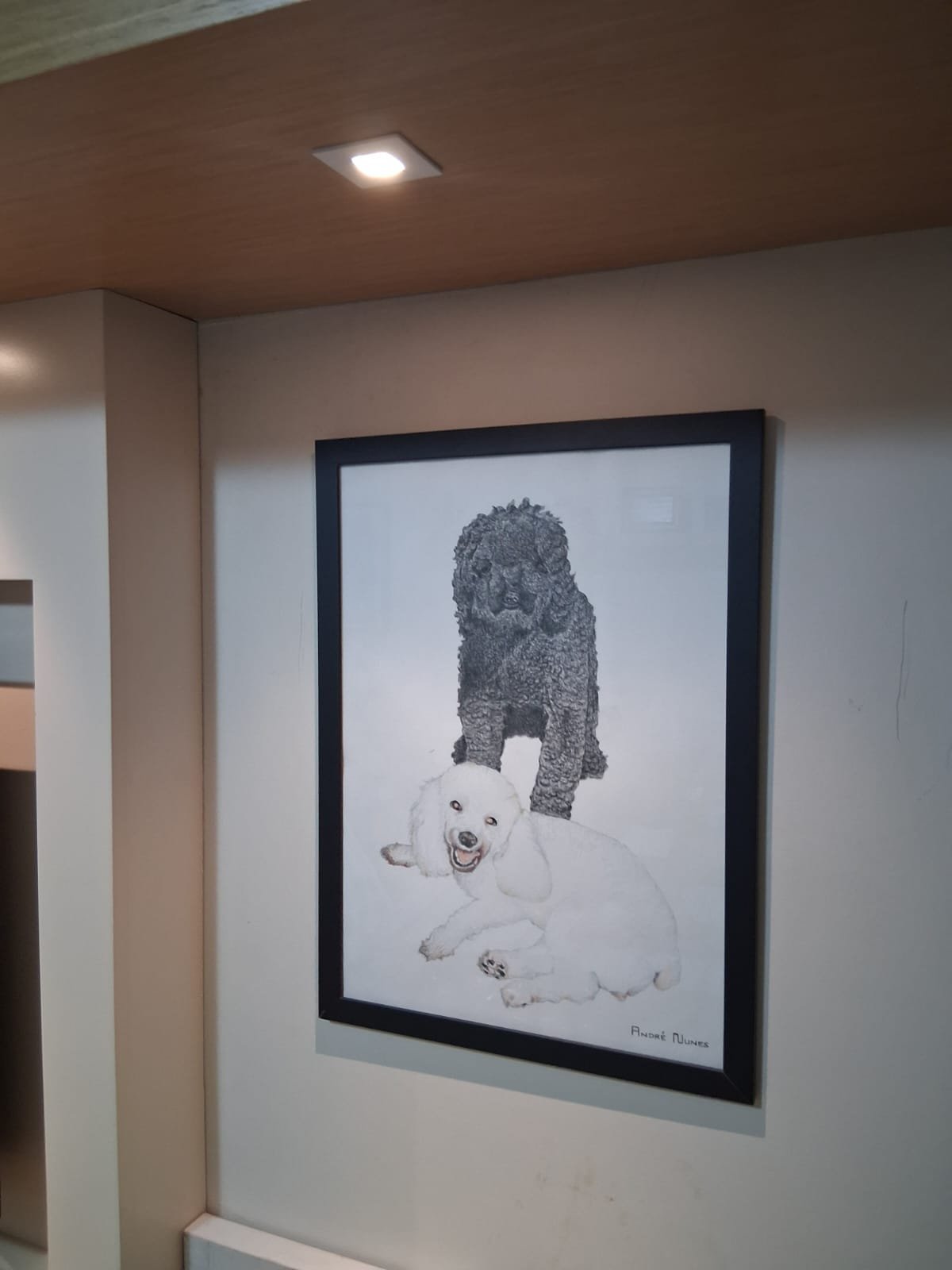 Retrato em lápis de cor de dois poodles